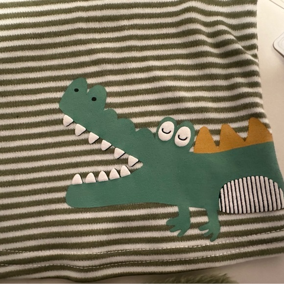 NWT Sterling Baby 2pc set 6 month Green Stripe Long Sleeve Top Fuzzy Pants - Picture 7 of 9